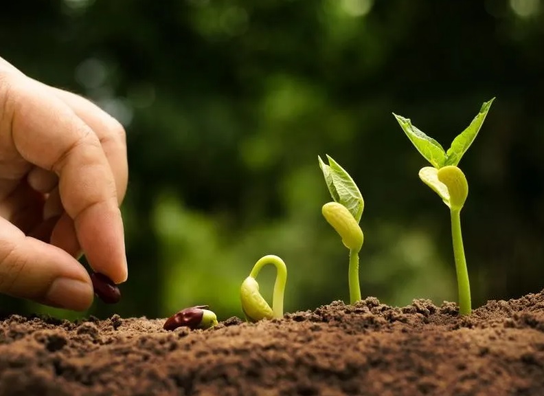 Bando Cariplo “Coltivare Valore”: 2 milioni per finanziare pratiche di agricoltura sostenibile