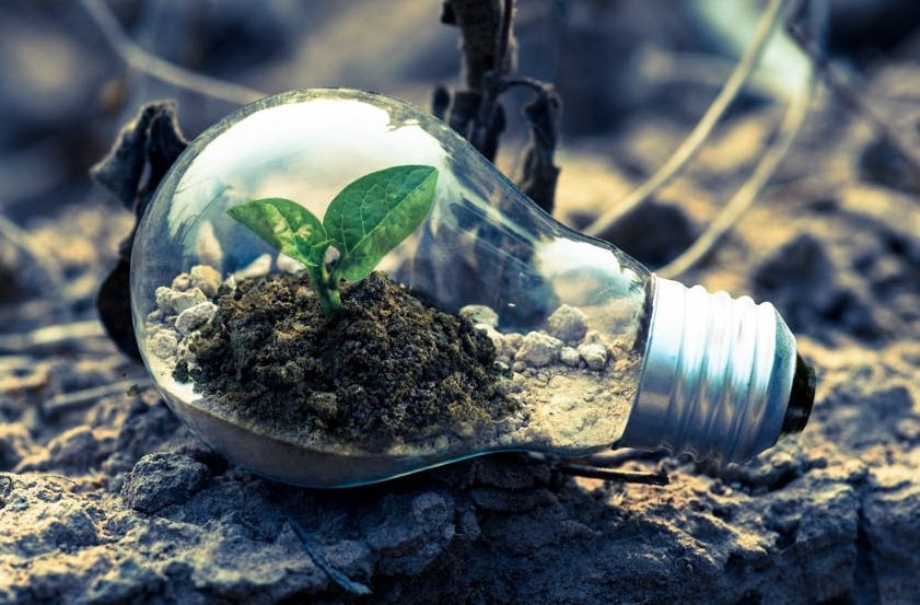 Transizione ecologica: aperto bando Cariplo “Effetto ECO”