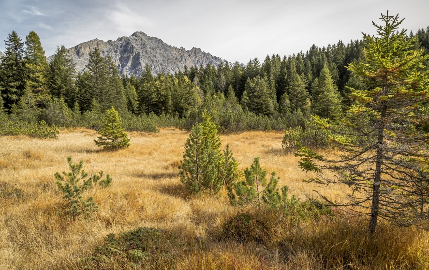 #Natura2000Day – la Rete Natura 2000 compie 29 anni