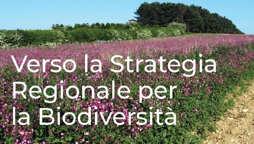 Verso la strategia regionale per la biodiversità: consultazione pubblica aperta fino al 17 settembre