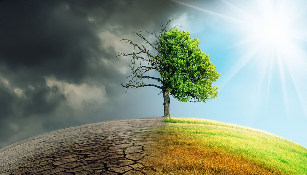 Nuovo bando Cariplo “Strategia Clima”: 2,2 milioni per interventi di contrasto del cambiamento climatico