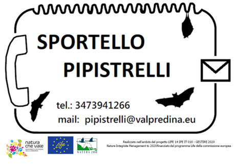 Sportello Pipistrelli