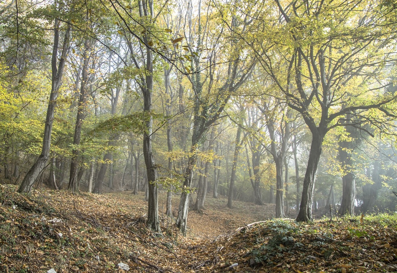 Valutazione d’incidenza siti Natura 2000: Regione Lombardia approva definitivamente le modalità