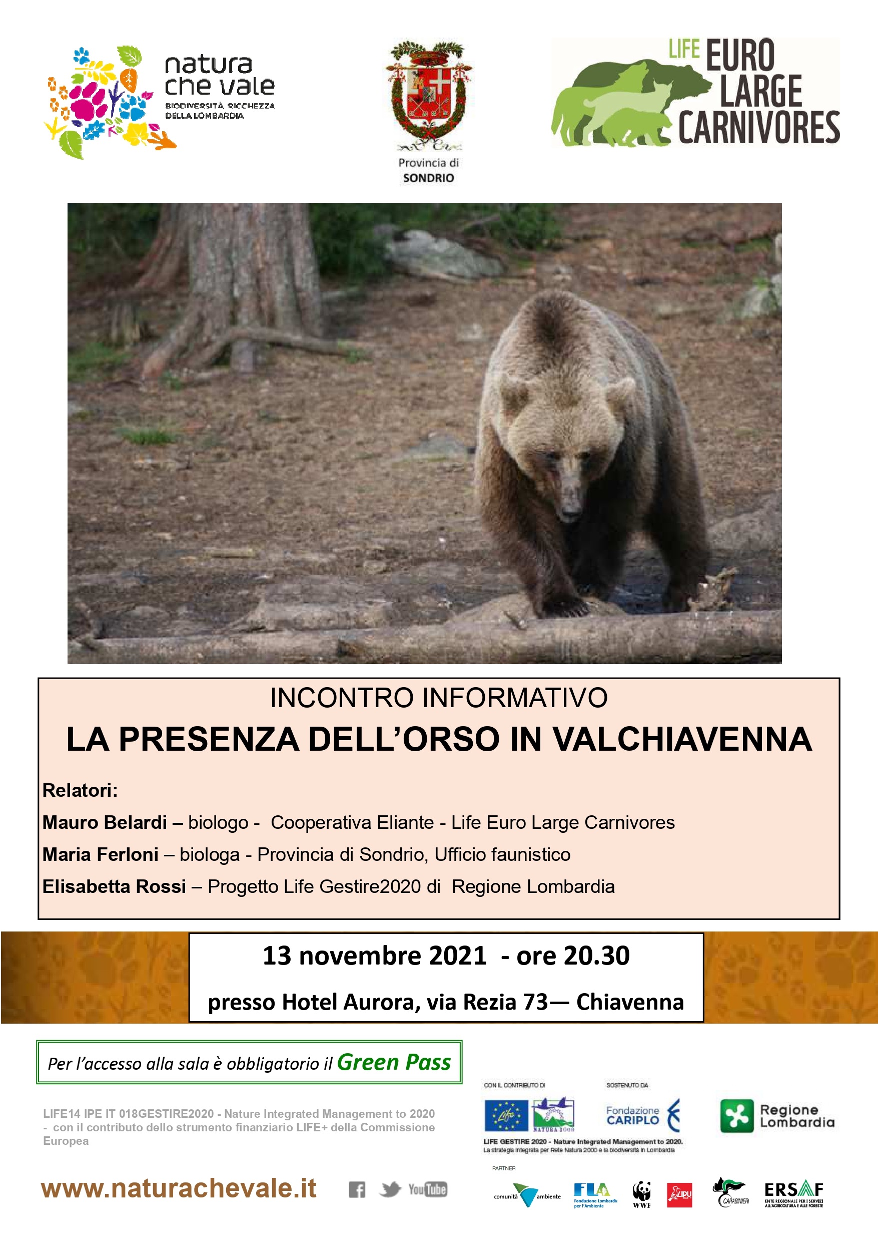 La presenza dell’orso in Valchiavenna – Chiavenna (SO)