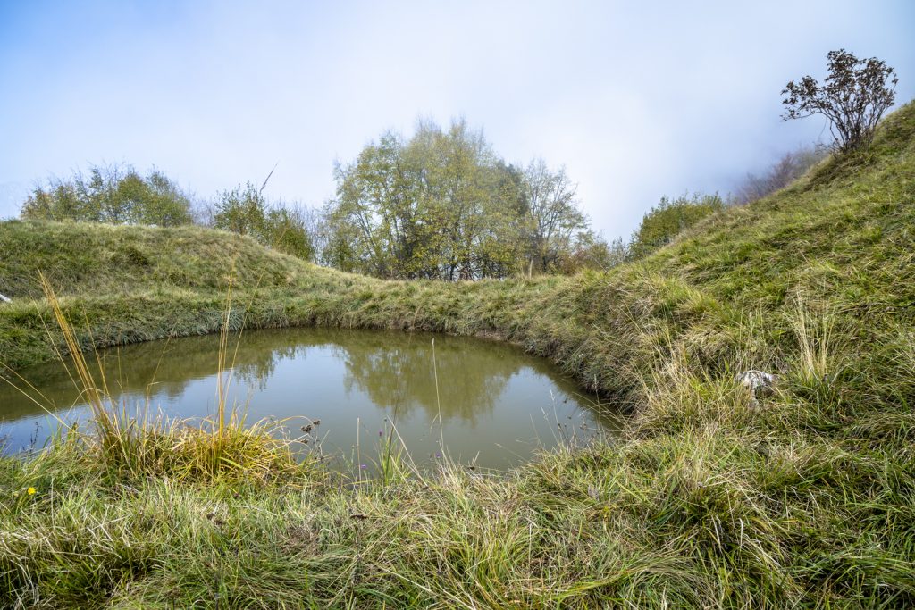 Bando Misura 4 PSR: 3 milioni di euro per investimenti per la conservazione della biodiversità e la miglior gestione delle risorse idriche
