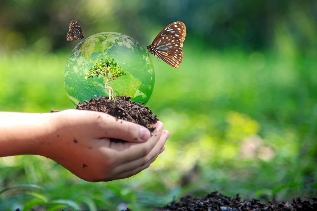 Progetti dimostrativi e azioni di informazione: il 10 febbraio un webinar sulle tematiche ambientali del bando Misura 1 PSR