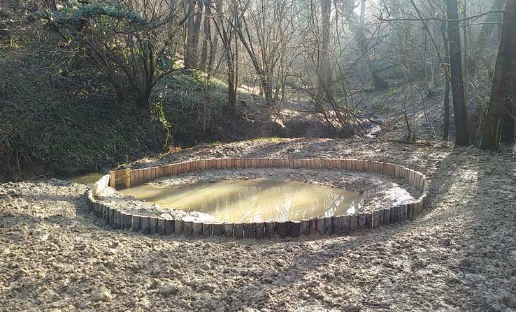 Collina di San Colombano: conclusi lavori per la tutela degli ambienti umidi e degli anfibi