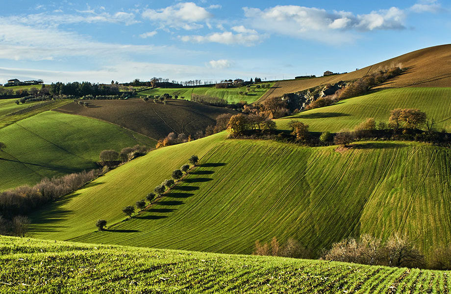 Bando Misura 12 PSR: 1 milione di euro per compensazioni per le zone agricole in Natura 2000