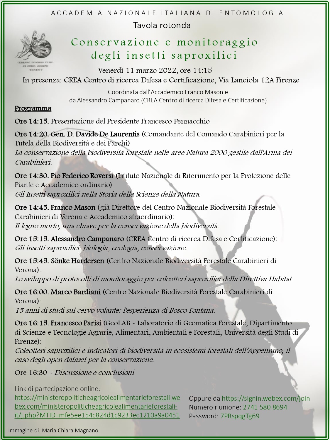 Conservazione e monitoraggio degli insetti saproxilici – online (in presenza a Firenze)