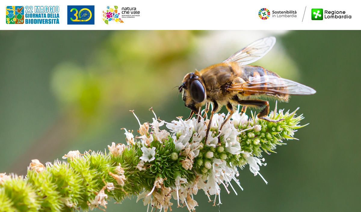 Regione Lombardia celebra la Giornata mondiale della biodiversità