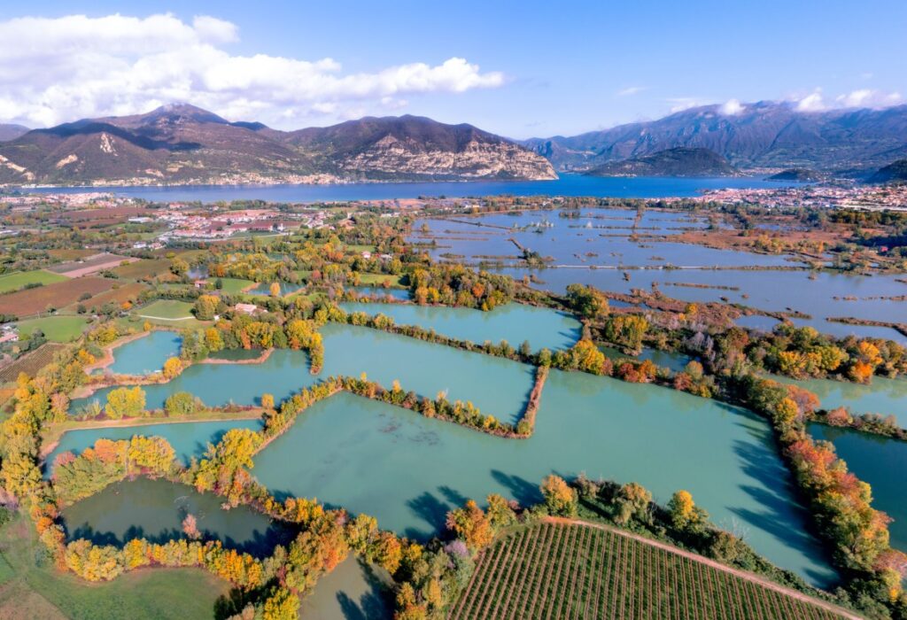 Torbiere del Sebino: interventi a favore dell’habitat dell’avifauna acquatica