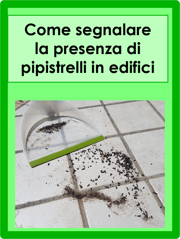 02 Azioni per la tutela dei chirotteri