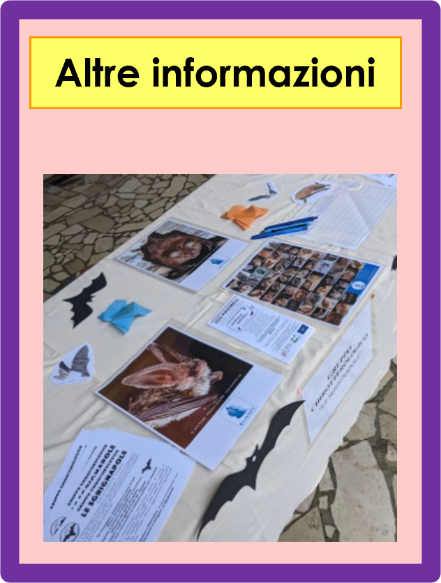 04 Azioni per la tutela dei chirotteri