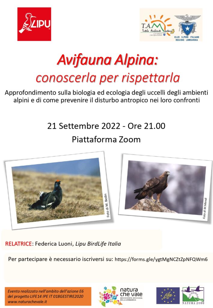 Avifauna Alpina: conoscerla per rispettarla – online