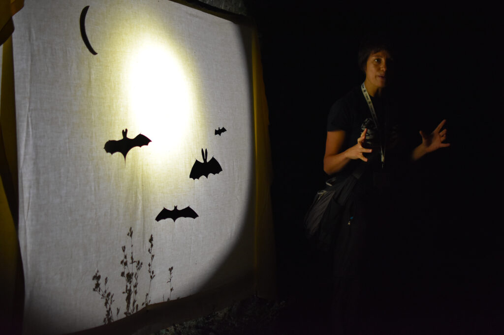 BAT-NIGHT: CONFERENZA SUI CHIROTTERI