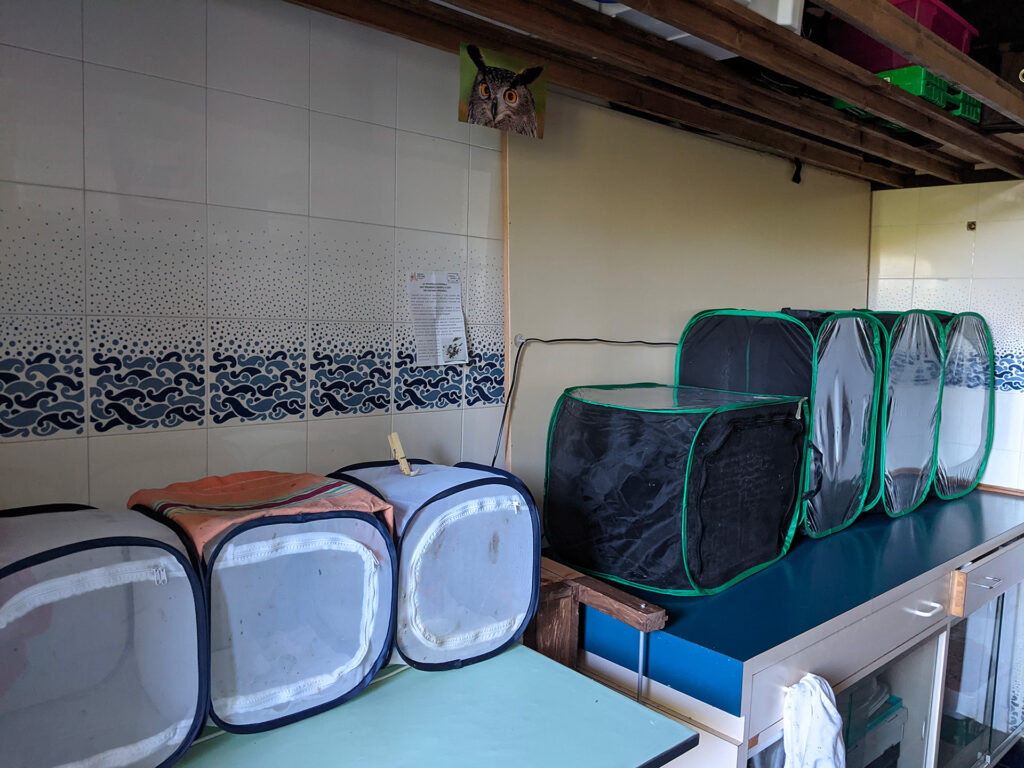 ATTIVAZIONE STRUTTURE REALIZZATE PRESSO CENTRO DI RECUPERO WWF VALPREDINA