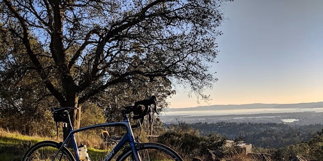 Mobilità ciclabile e biodiversità: pubblicato bando per la forestazione periurbana e sistemi verdi lineari