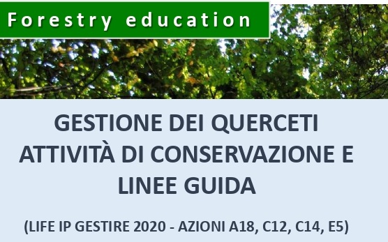 Il 29 settembre seminario su “Gestione dei querceti: attività di conservazione e linee guida”