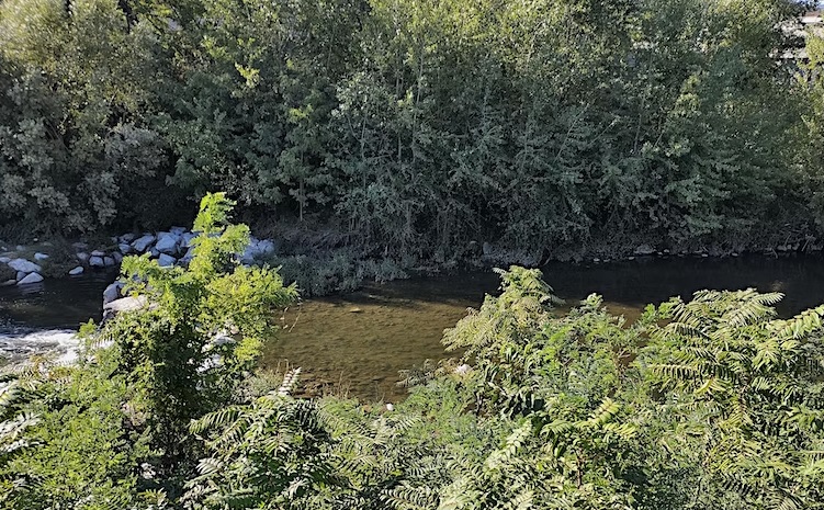 Florovivaismo e conservazione della biodiversità – Online