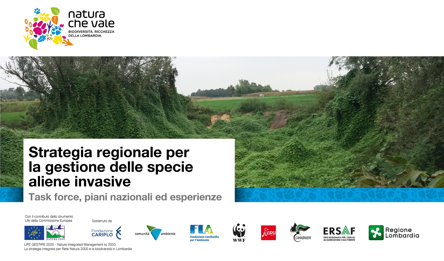 Strategia regionale per la gestione delle specie aliene invasive – online