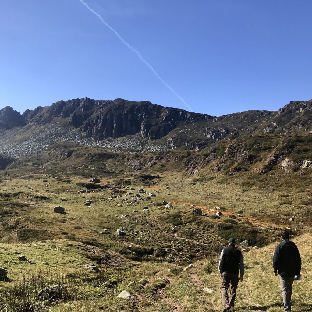 PIANI DI PASCOLAMENTO