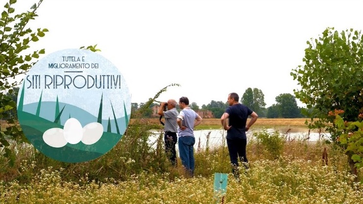Per la tutela dell’avifauna acquatica – il video