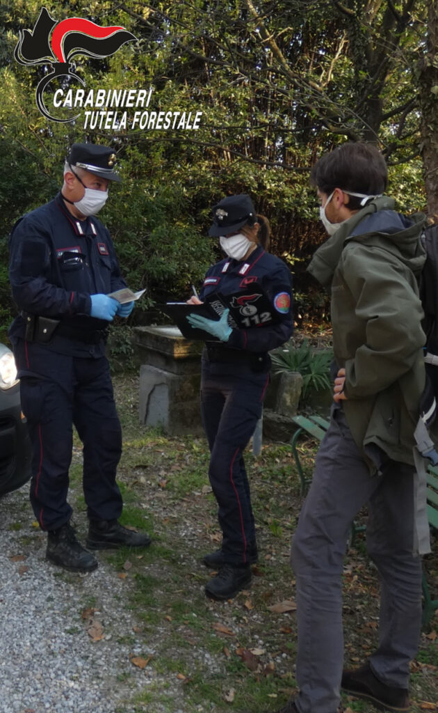SPERIMENTAZIONE PROCEDURE DI SORVEGLIANZA