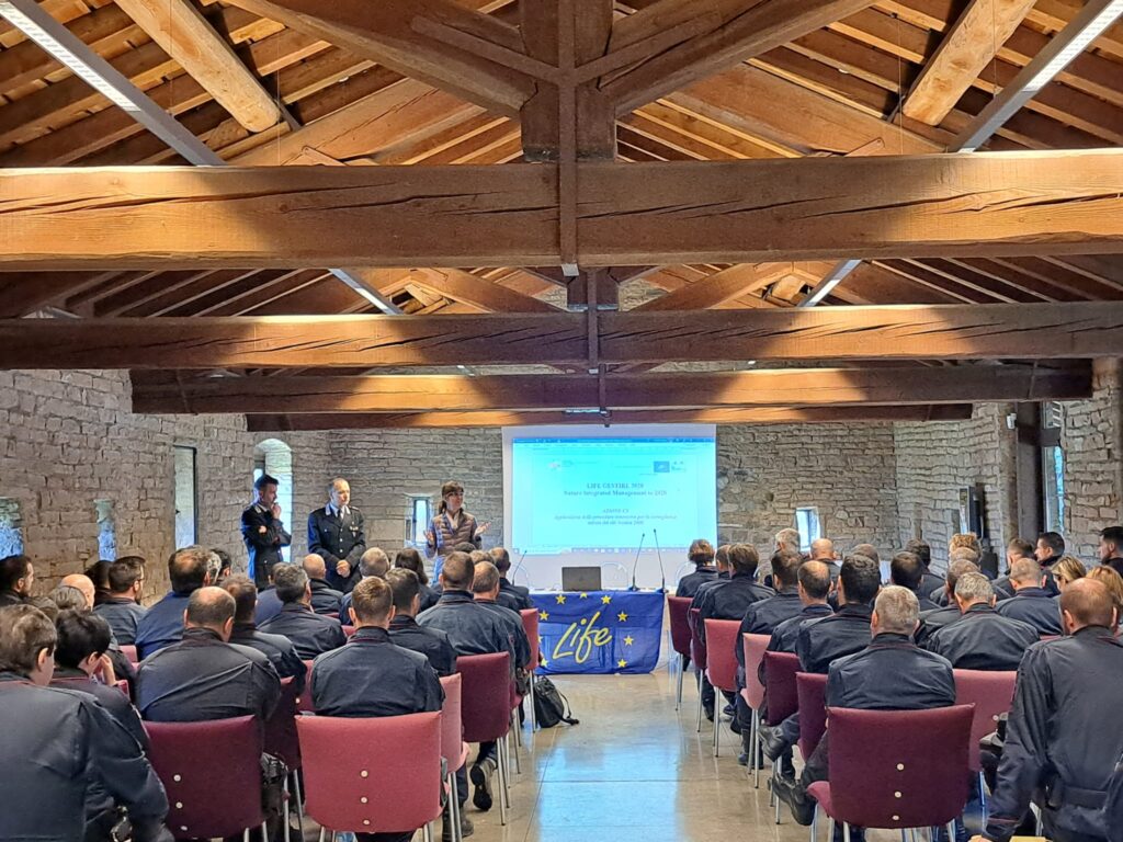 WORKSHOP DEI CCF SU PRIMI 2 ANNI DI APPLICAZIONE DELLE PROCEDURE DI SORVEGLIANZA