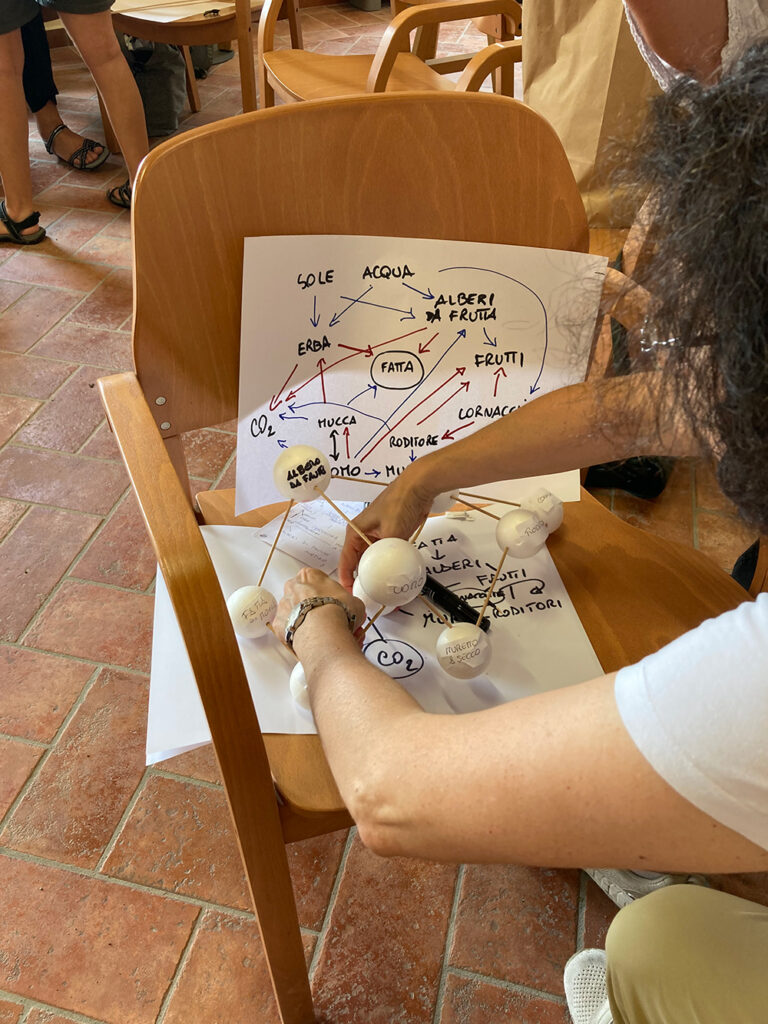 AVVIO DELLE SUMMER SCHOOL “Facciamo Rete Natura 2000. La biodiversità nelle nostre vite”
