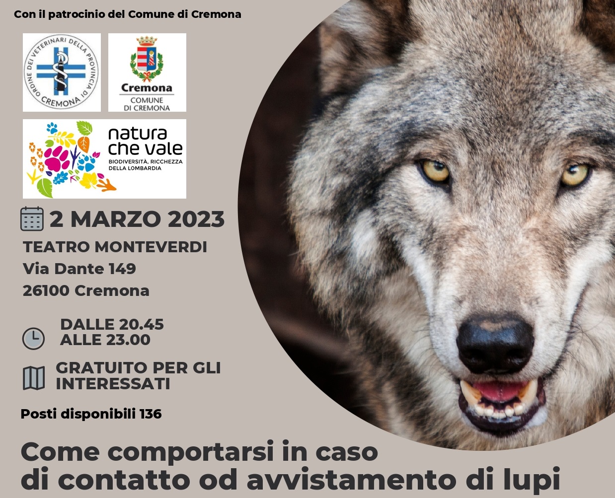 Come comportarsi in caso di contatto o avvistamento di lupi – Cremona