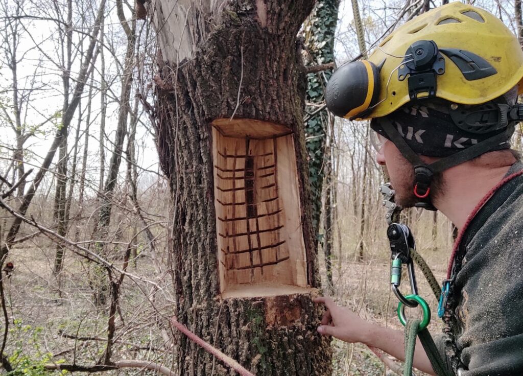 Parco Agricolo Nord Est: realizzati 100 rifugi per pipistrelli