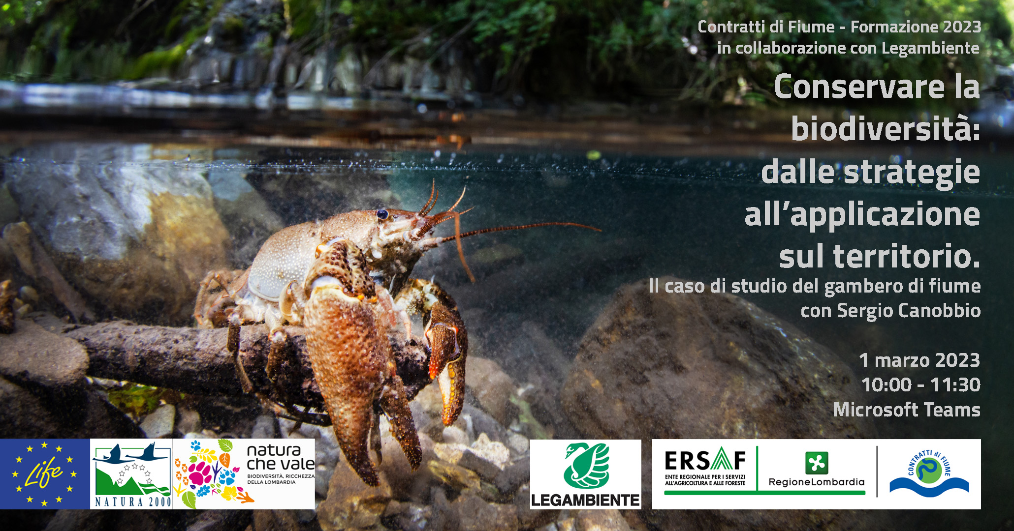 Conservare la biodiversità: dalle strategie all’applicazione sul territorio. Il caso di studio del gambero di fiume – online