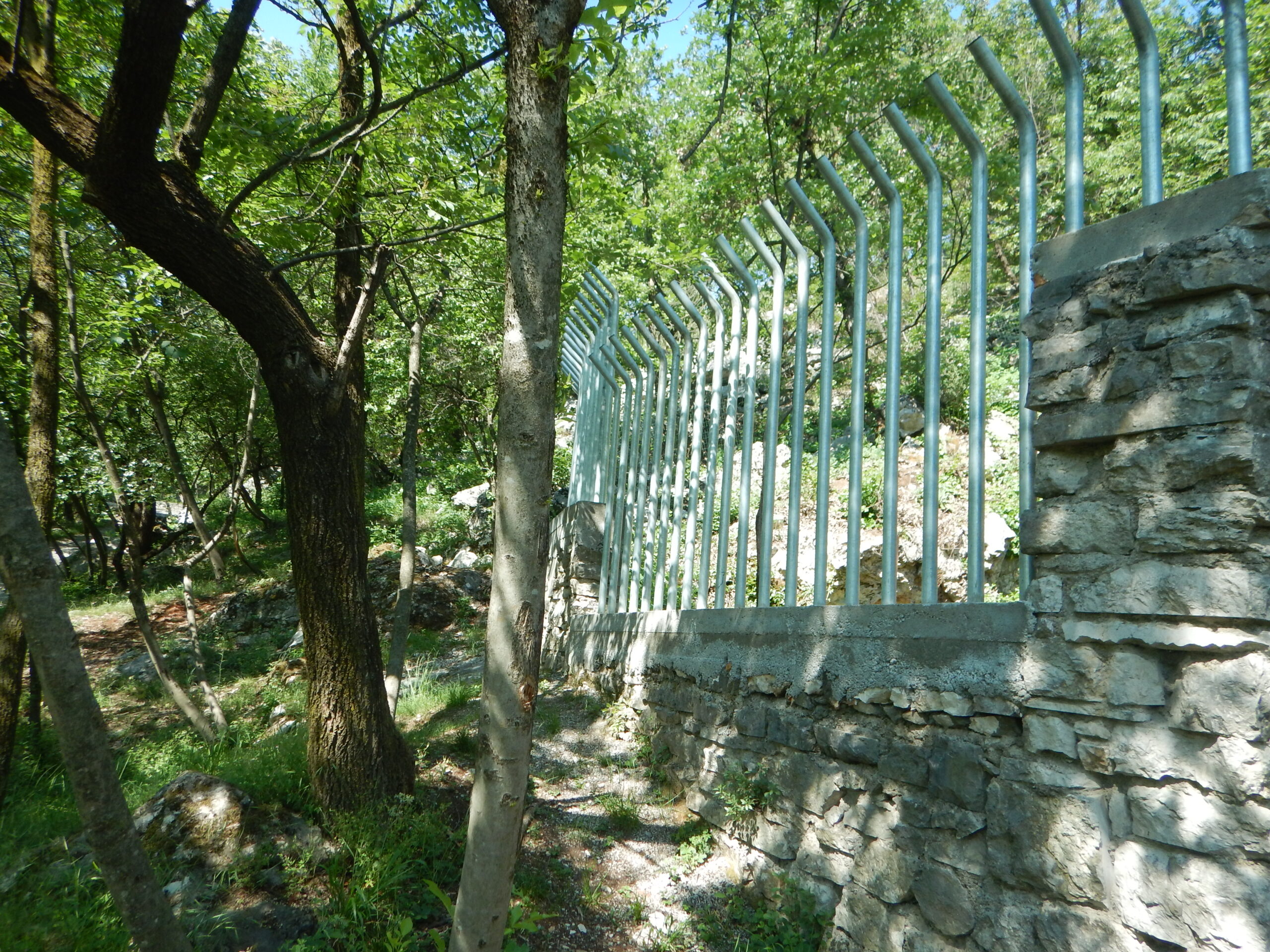 Prevalle (BS): tutelati i pipistrelli del Buco del Frate