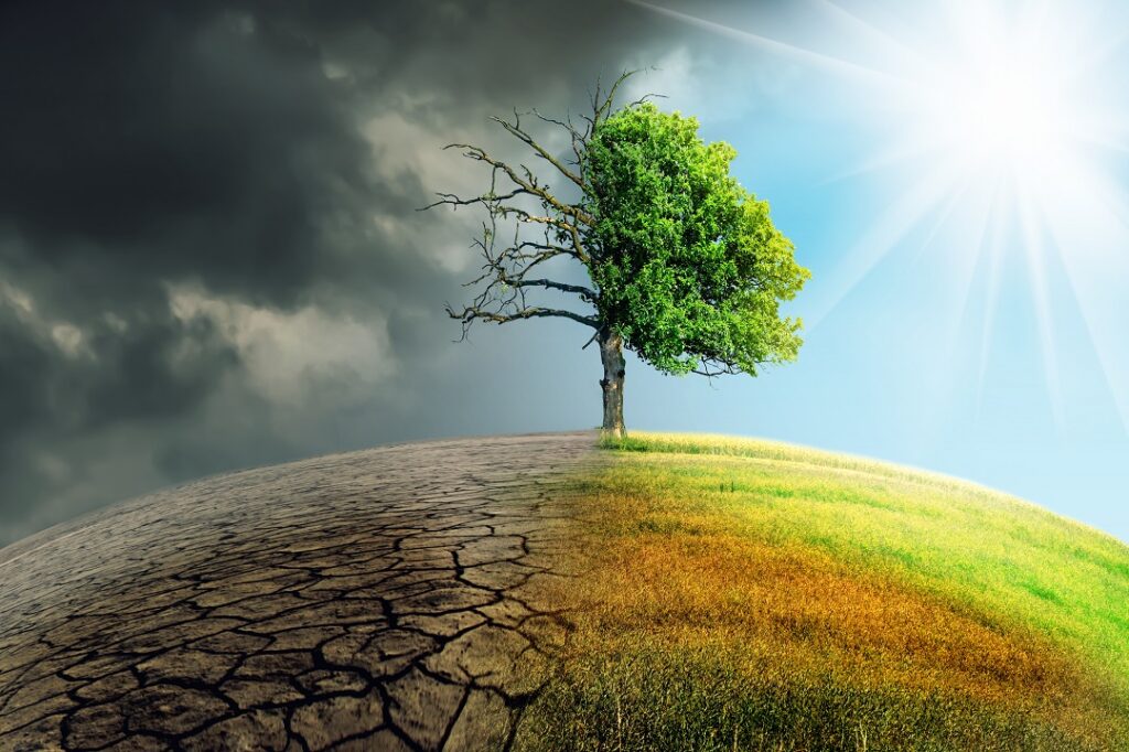 Nuovi bandi Fondazione Cariplo per l’ambiente: Effetto ECO e Ruralis