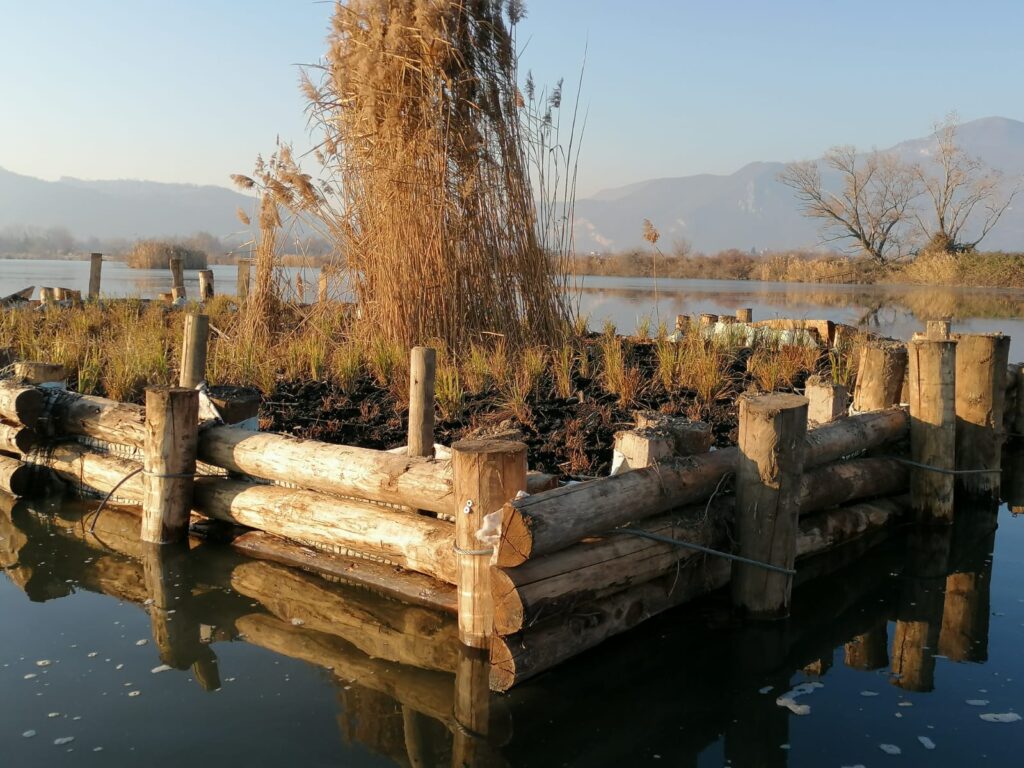 CONCLUSIONE PROGETTI PER IL RISPRISTINO DEGLI HABITAT PER L’AVIFAUNA ACQUATICA