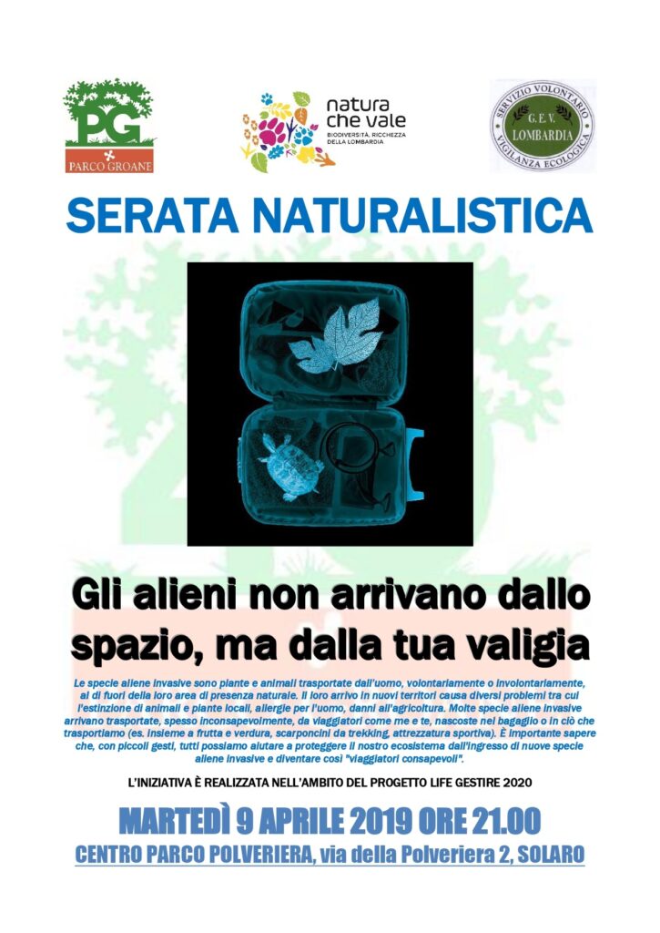 SERATA NATURALISTICA