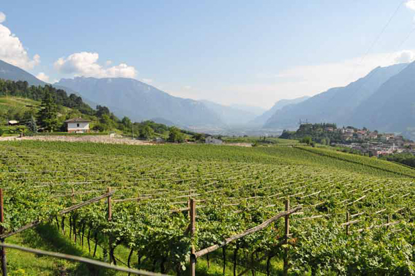 Sostegno zone svantaggiate di montagna: aperto il primo bando del nuovo Piano Strategico Nazionale 2023/2027 della PAC