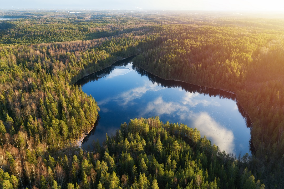 Aperto bando PNRR destinato alle aree protette per monitoraggio, preservazione, valorizzazione e ripristino della biodiversità