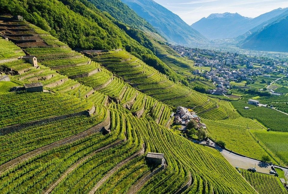 Aperto bando regionale 2023 per ripristino, conservazione e completamento di terrazzamenti e muretti a secco