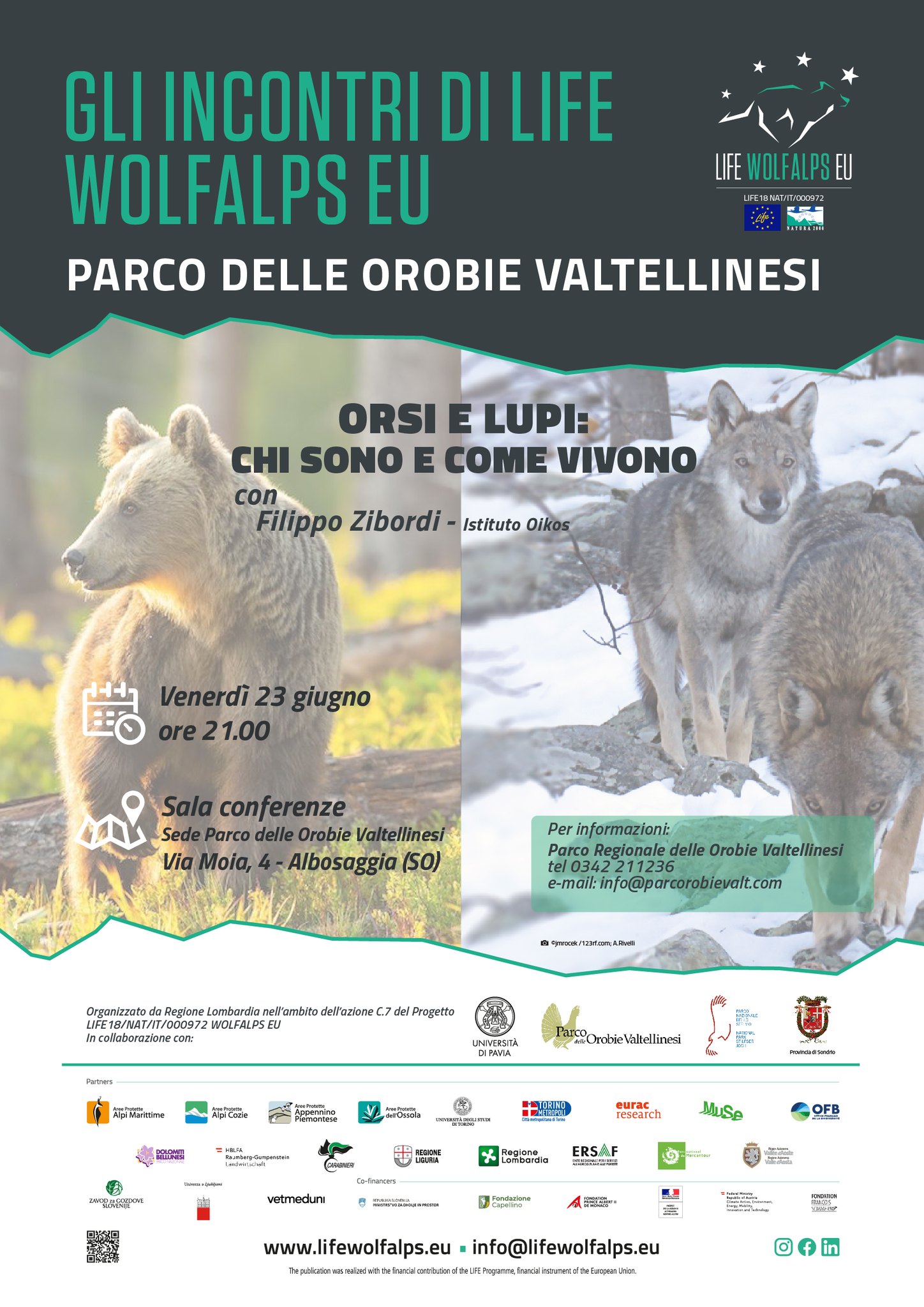 Orsi e lupi: chi sono e come vivono – Albosaggia (SO)