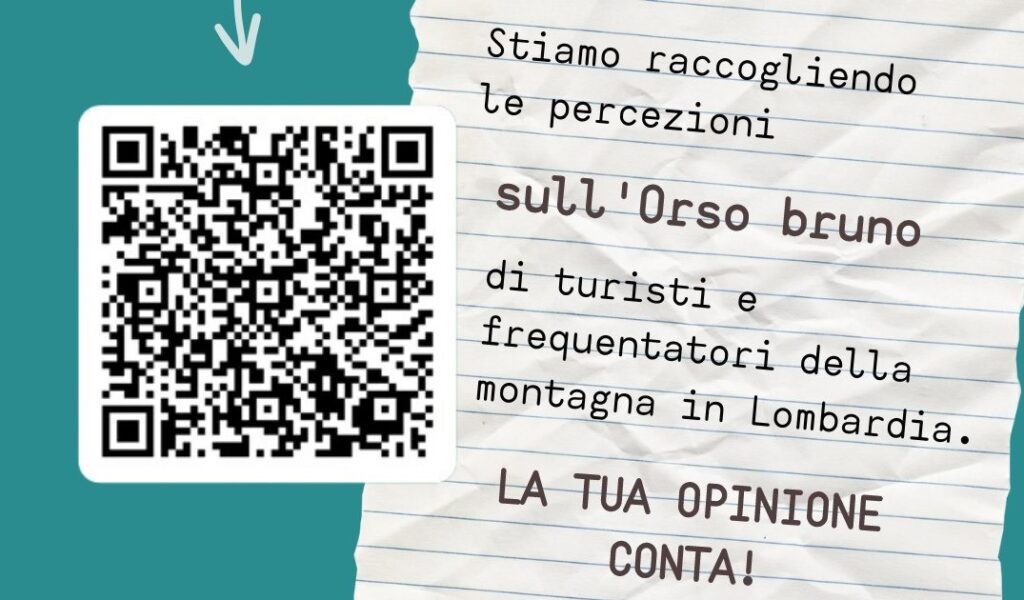 Frequenti le montagne lombarde? Aiutaci a capire le tue percezioni sull’orso bruno compilando il questionario