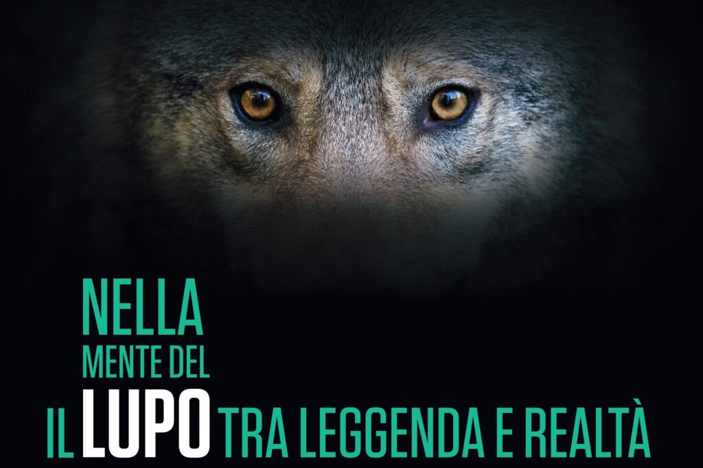 La mostra “Nella mente del lupo” arriva a Milano. Un’esperienza immersiva per raccontare la coesistenza