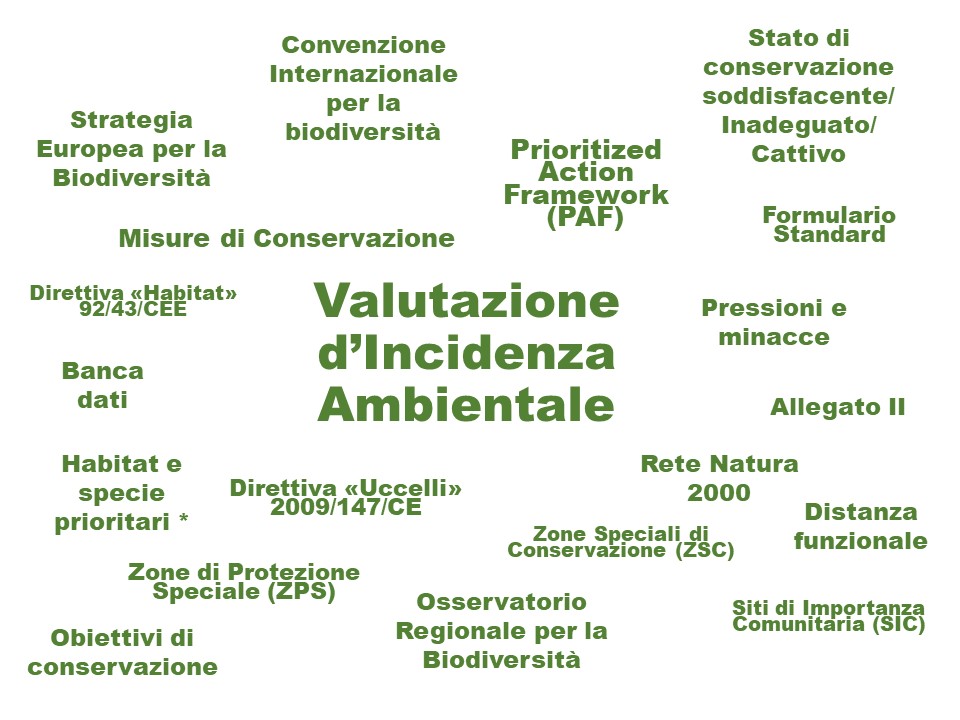 Formazione a distanza on line “Rete Natura 2000 e Valutazione di Incidenza in Regione Lombardia”