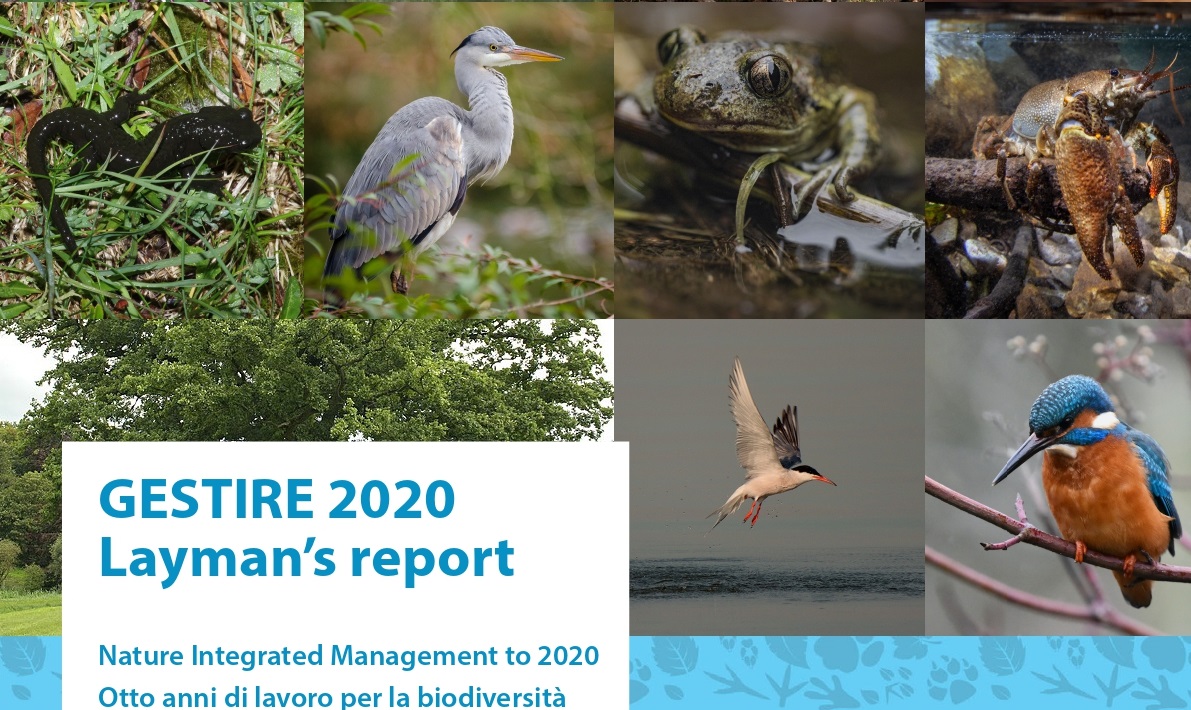 Pubblicato il Layman’s report – 8 anni di Life Gestire 2020 in pillole