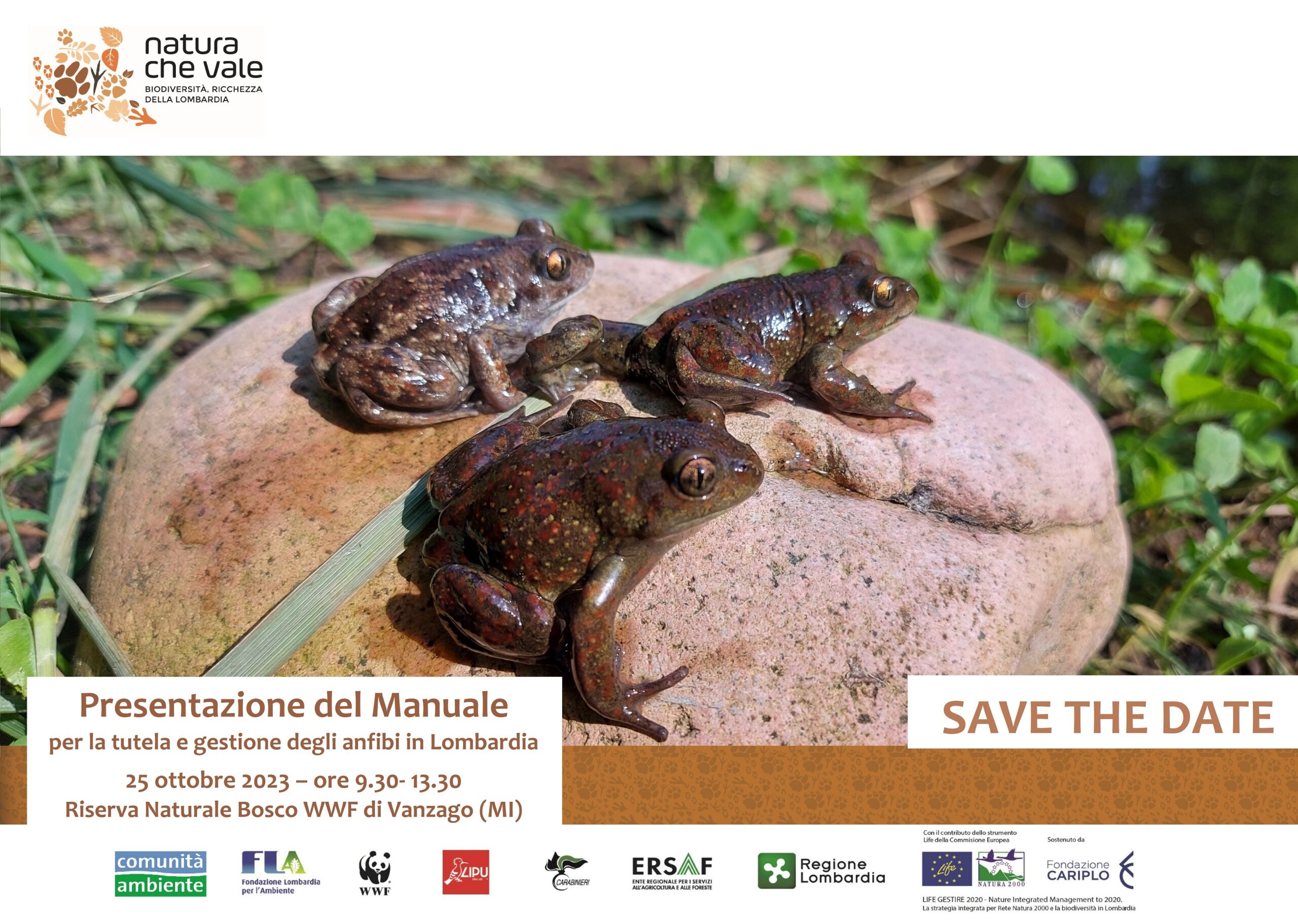 Presentazione del “Manuale per la tutela e gestione degli anfibi” – Vanzago (MI)