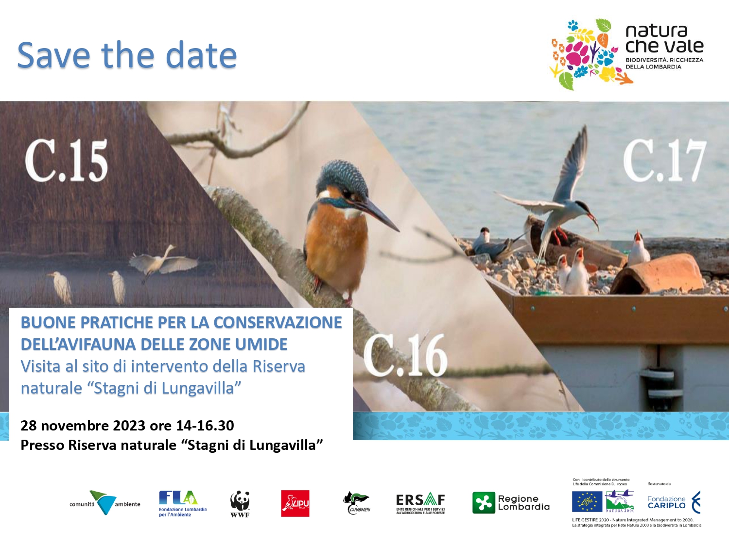 Le buone pratiche per la conservazione dell’avifauna delle zone umide – Lungavilla (PV)