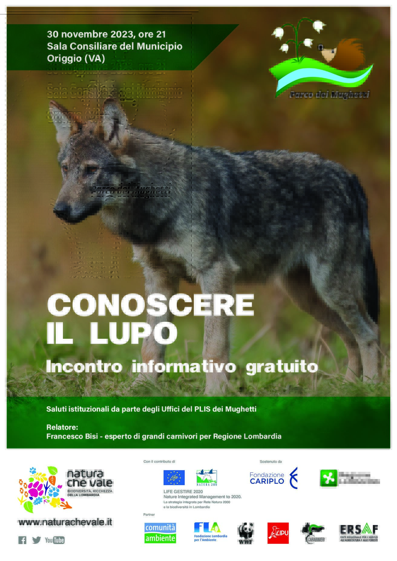 Conoscere il lupo – Origgio (VA)