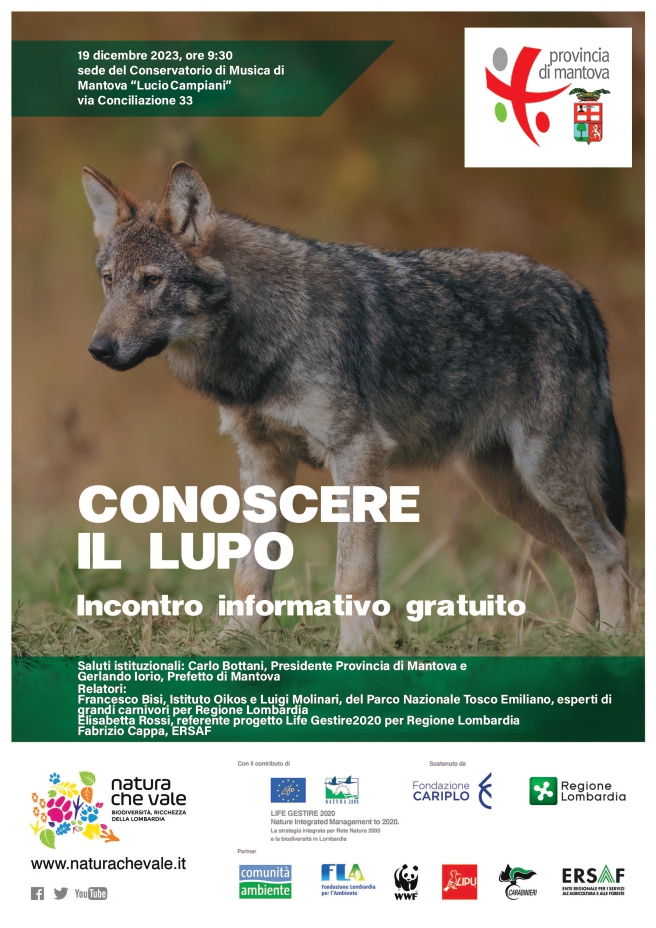 Conoscere il lupo – Mantova