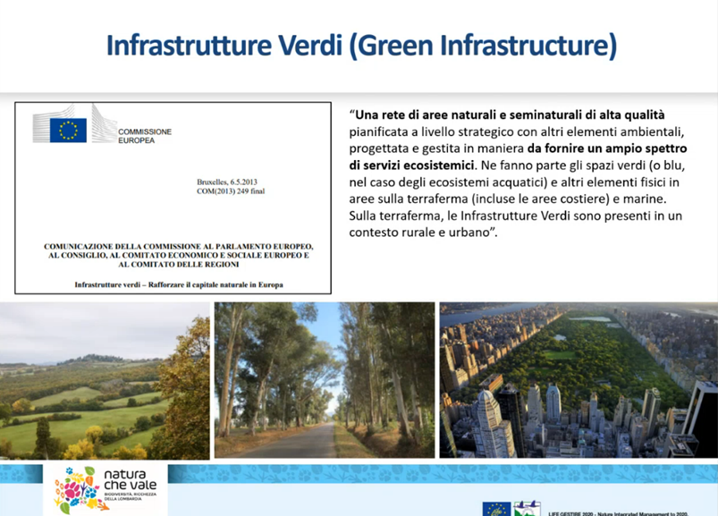 Confronto con gli stakeholders del verde urbano e fasce verdi sul problema delle specie aliene – disponibili i materiali dell’incontro del 12 dicembre 2023