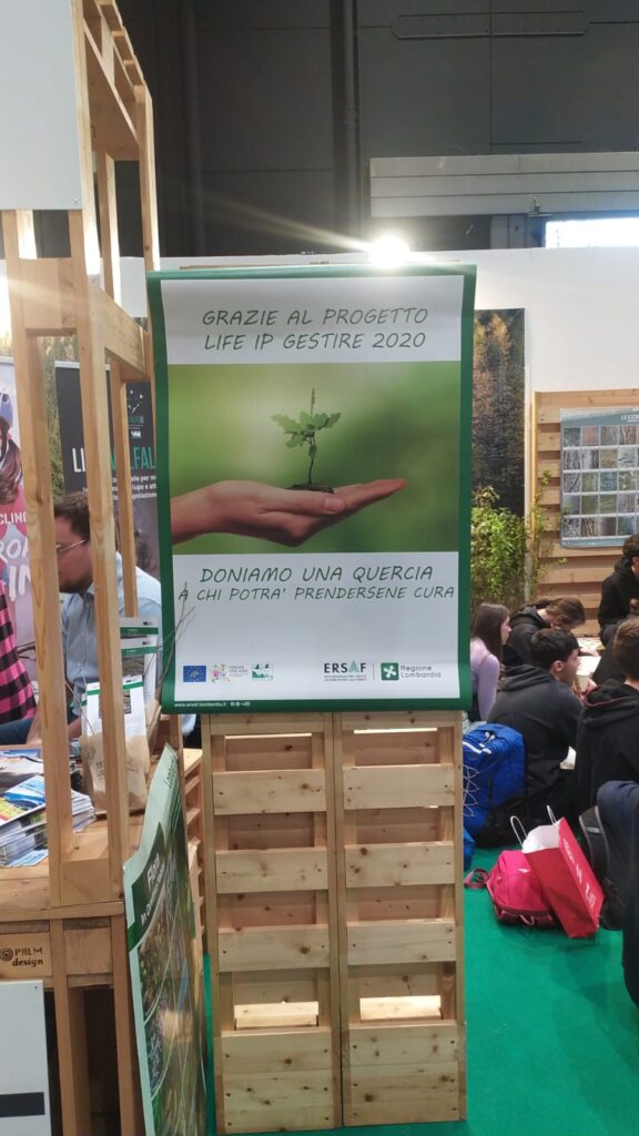 DISTRIBUZIONE GRATUITA DI FARNIE